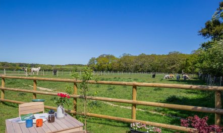1 Bed in Marchwood 8
