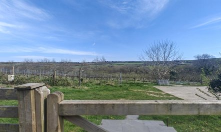 1 Bed in St. Issey 6