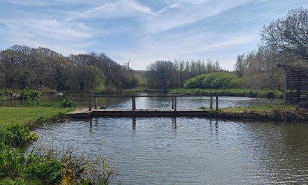 1 Bed in St. Issey 2