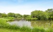 1 Bed in St. Issey 6