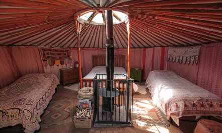 1 Bed in Blackborough 5