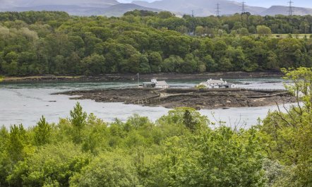 1 Bed in Brynsiencyn 2