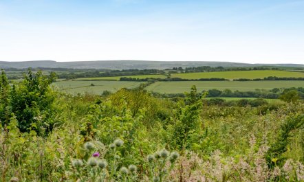 1 Bed in St. Endellion 4