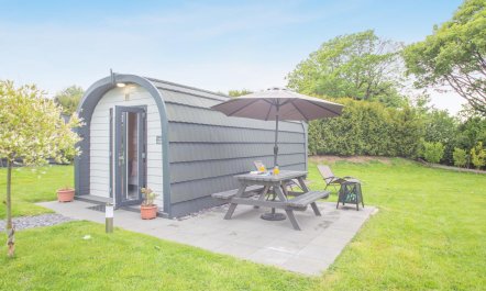 1 Bed in Brynsiencyn 6