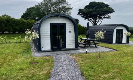 1 Bed in Brynsiencyn 8