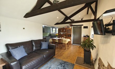 1 Bed in Tedburn St. Mary 9