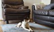 1 Bed in Tedburn St. Mary 8