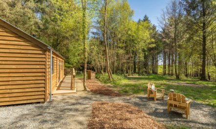 1 Bed in Buckland Filleigh 6