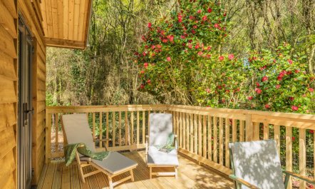 1 Bed in Buckland Filleigh 2