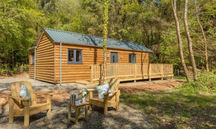 1 Bed in Buckland Filleigh