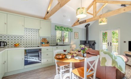 1 Bed in Buckland Filleigh 5