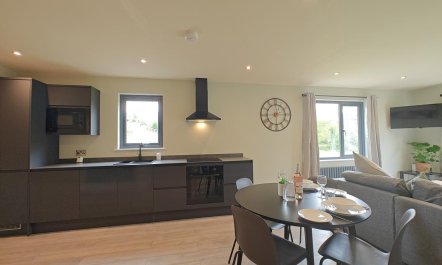 2 Bed in Tyn-y-Groes 4