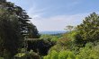 3 Bed in Morcombelake 1
