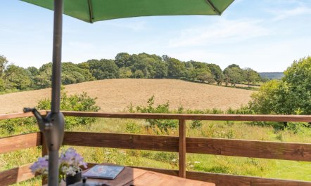 1 Bed in Blackborough 1