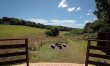 1 Bed in Blackborough 3
