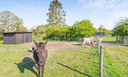 1 Bed in Newall With Clifton 7