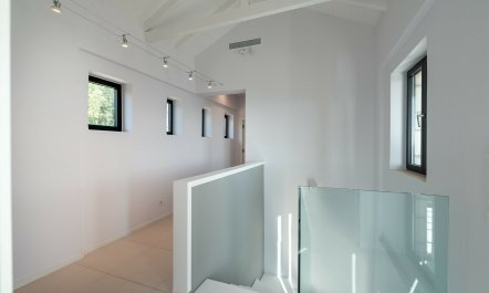 Shore & Sun 8