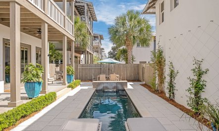 Florida Blossom 3