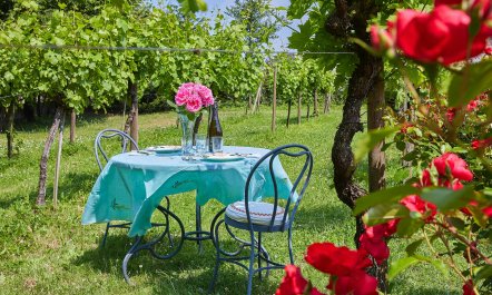 Villa Rose 8