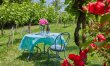 Villa Rose 8