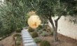 Serenity Bloom 8