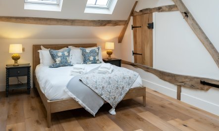 Charming Brill 6