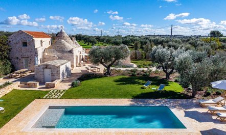 Centuries-Old Olive Groves