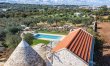 Centuries-Old Olive Groves 3
