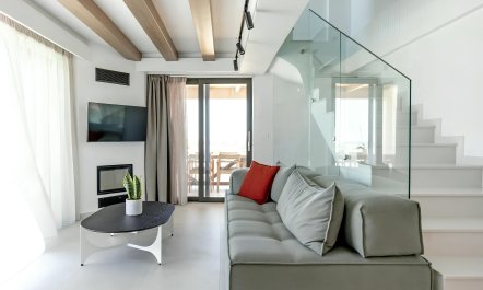 The Olive Coast 1