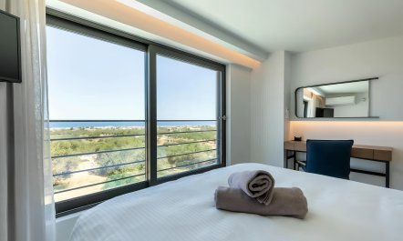 The Olive Coast 7