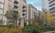London's Embrace 1