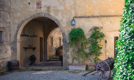 Pastoral Presence 2