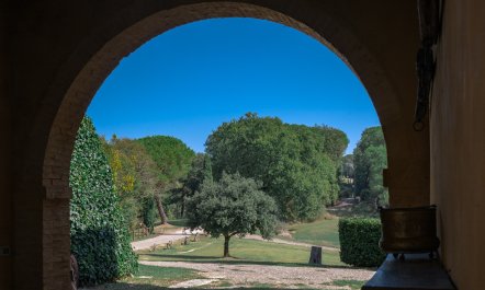 Pastoral Presence 4