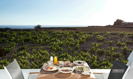Aegean Sea & Vineyards 6