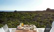Aegean Sea & Vineyards 6