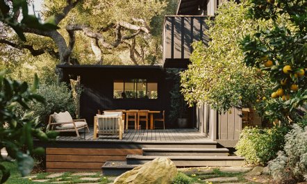 Eucalyptus & Oak 3
