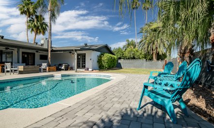 Arizona Palms 4