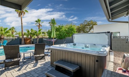 Arizona Palms 6