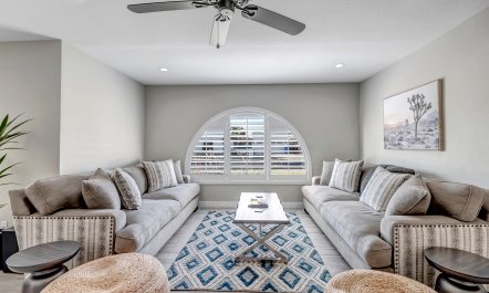 Arizona Palms 8
