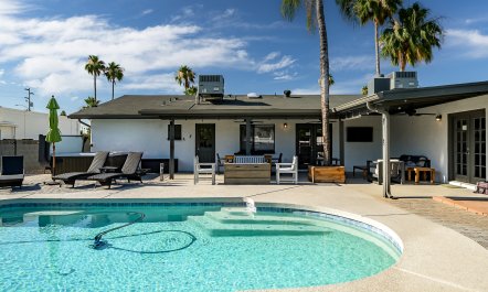 Arizona Palms