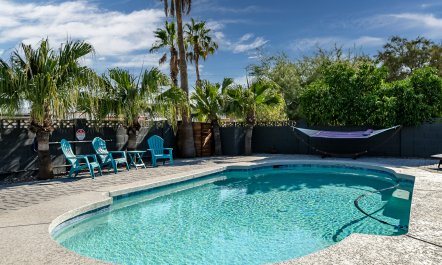 Arizona Palms 3