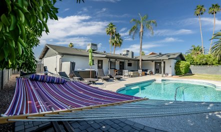 Arizona Palms 5