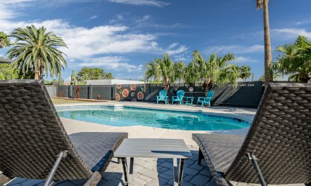 Arizona Palms 2