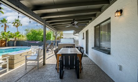 Arizona Palms 7