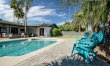 Arizona Palms 4