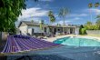 Arizona Palms 5