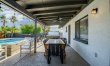 Arizona Palms 7
