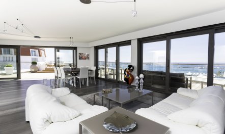 Designs of Cannes 8