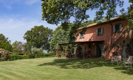 Viterbo Verdure 4