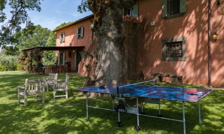 Viterbo Verdure 3
